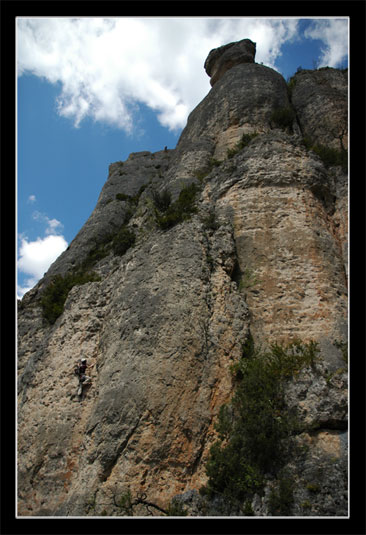 Les gorges de la Jonte